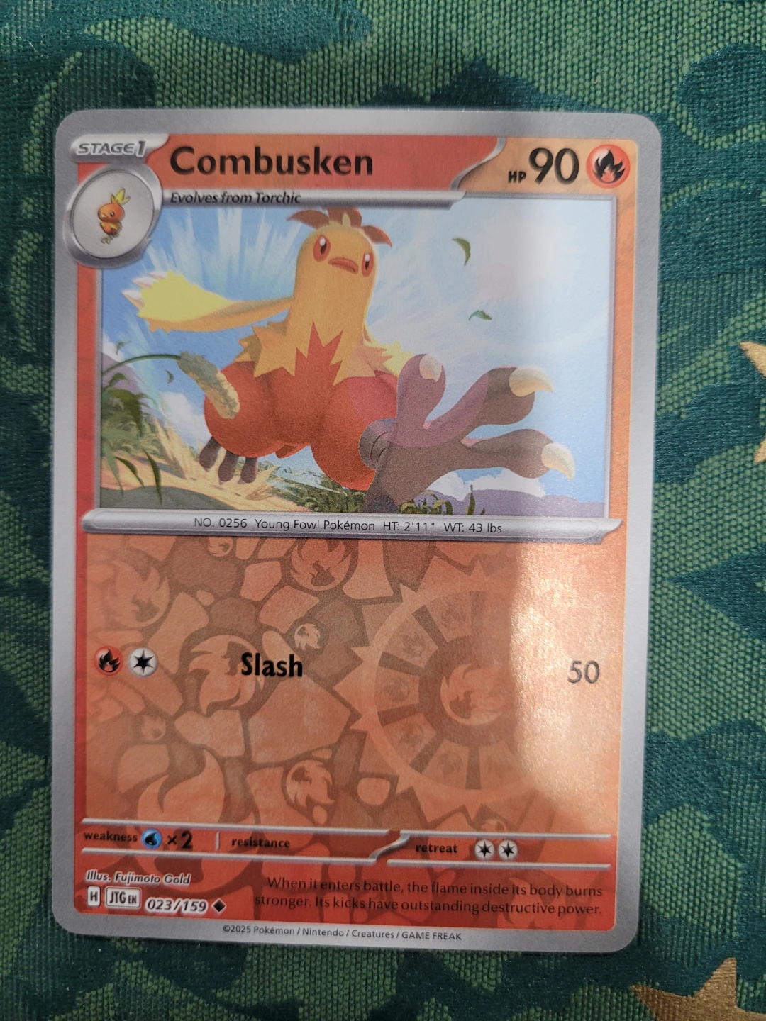 Pokémon TCG Reverse Holo Combusken Card ⚽️