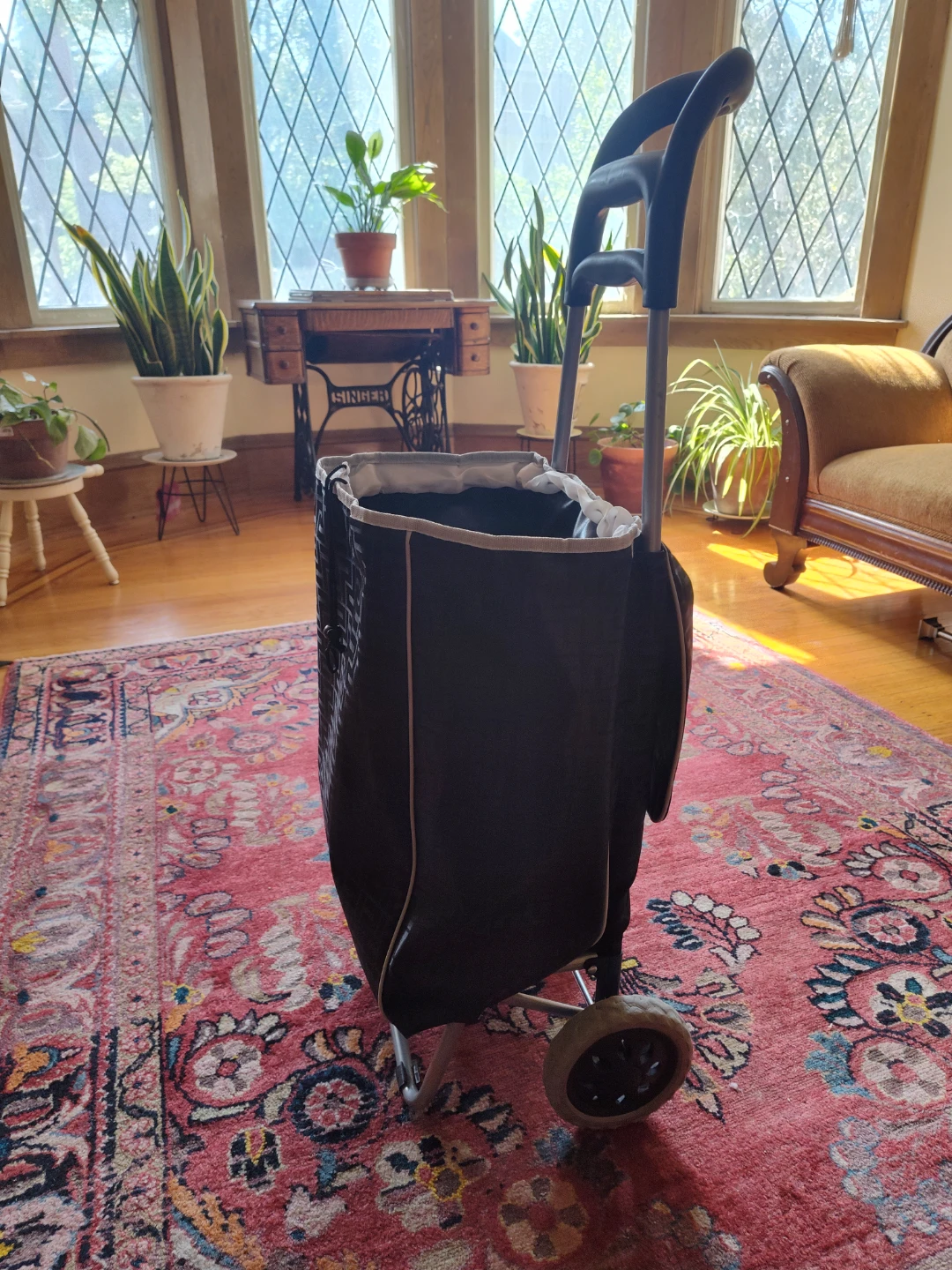 Shopping Cart with patterned bag