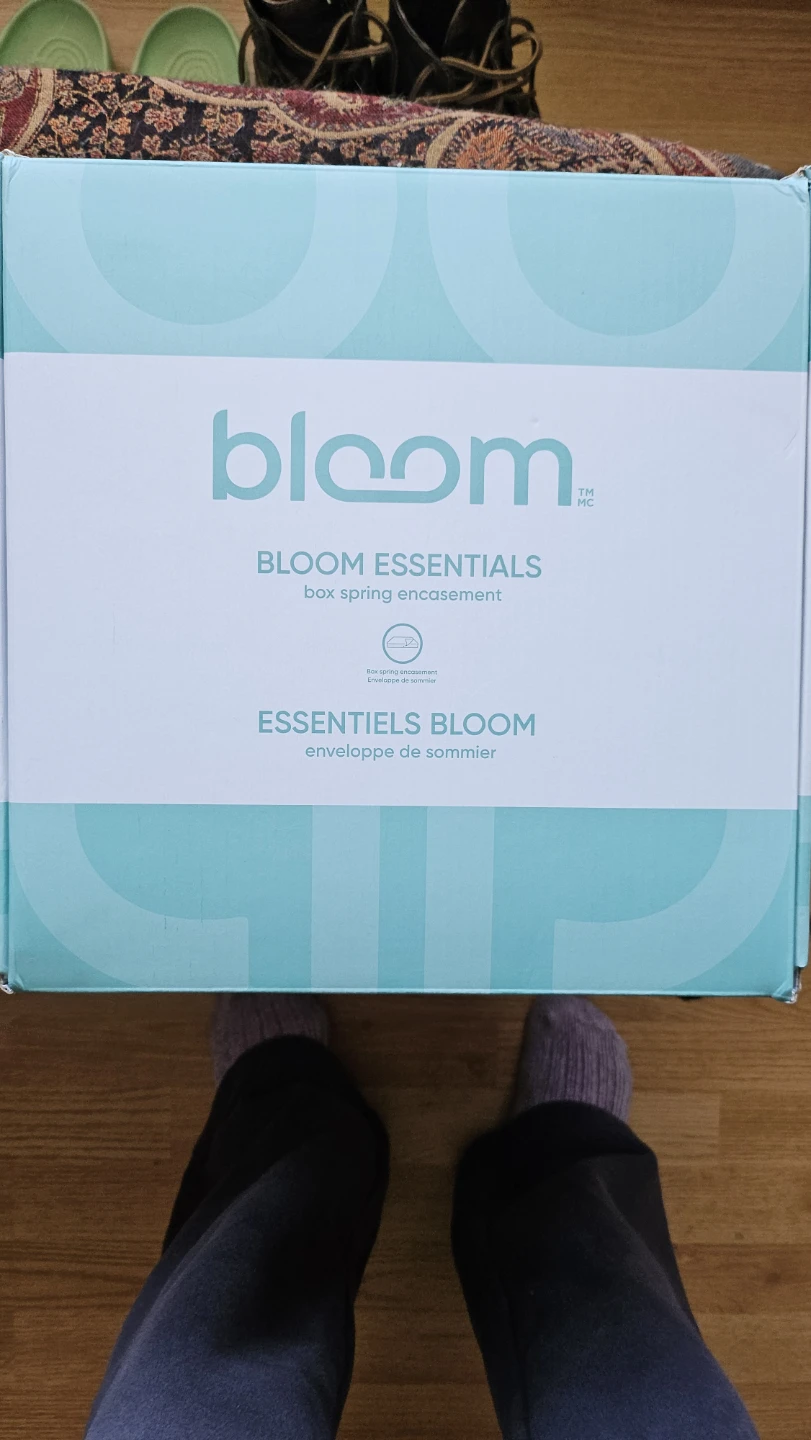 Bloom Essentials Box Spring Encasement