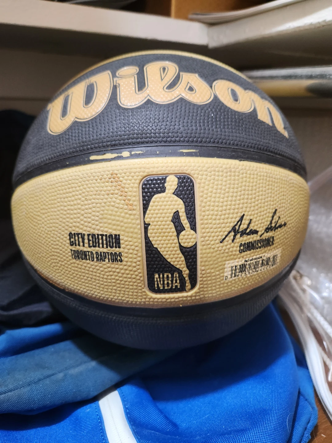 Raptors Basketball