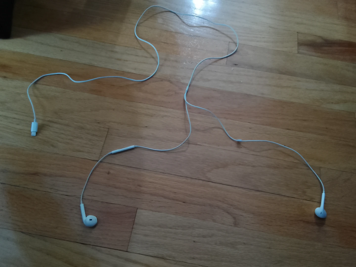 Apple EarPods with Lightning Connector