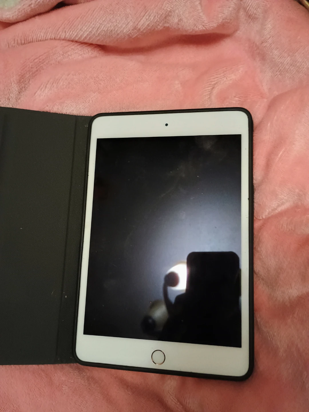 Apple iPad Mini 4 - photo 3