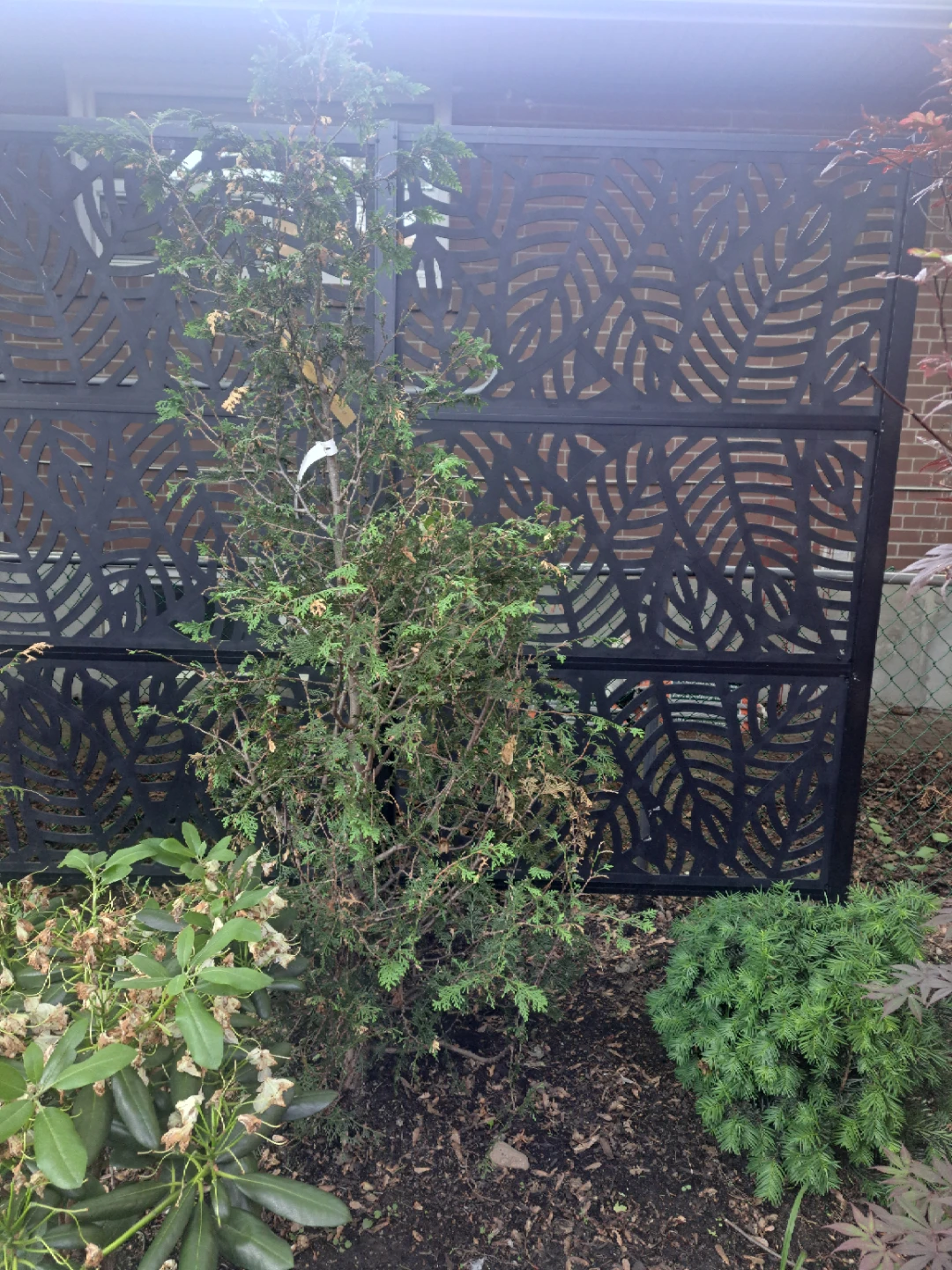 Decorative Screen Panel Frame Kit 2' x 4' - photo 4