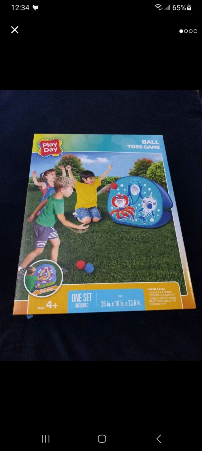 Play Day Ball Toss Game