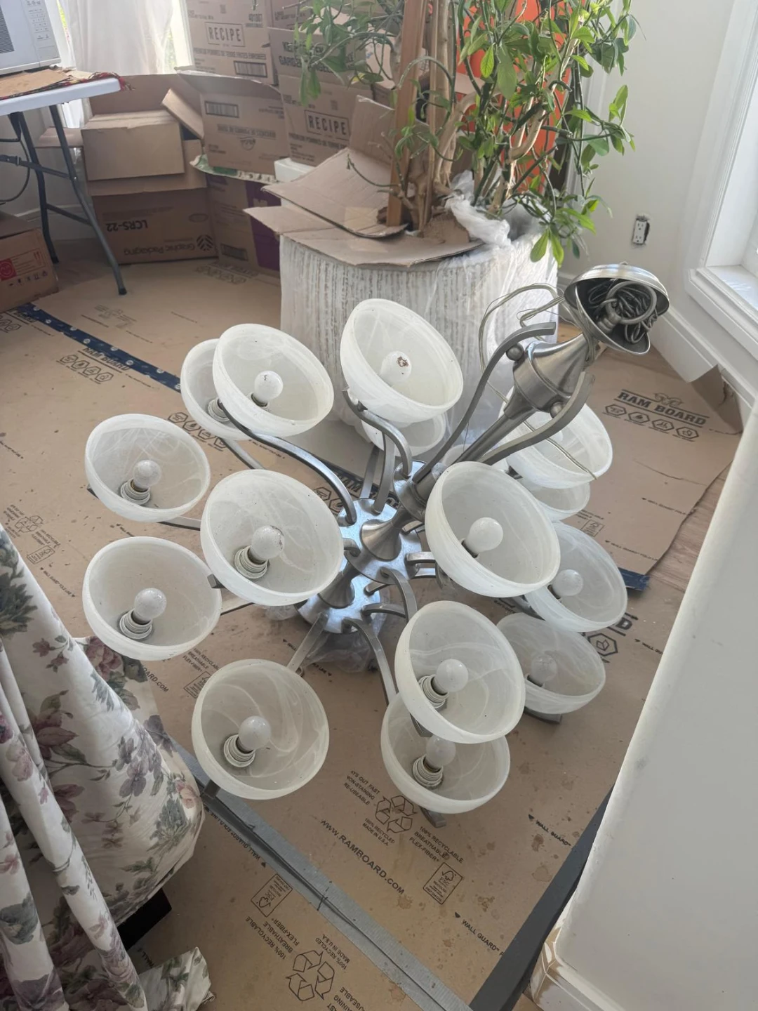 Chandelier Light Fixture