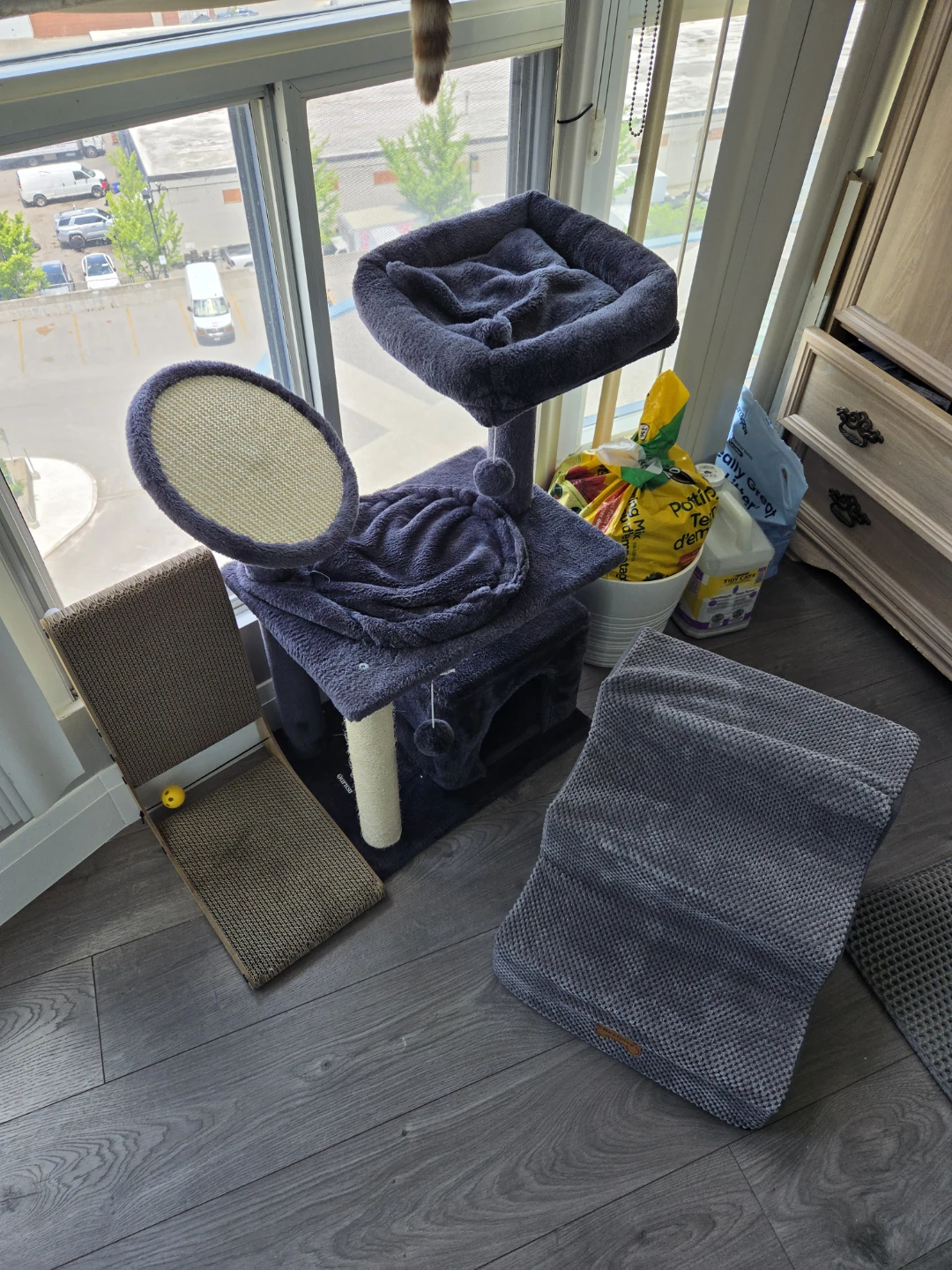 Pet Steps for Small cat