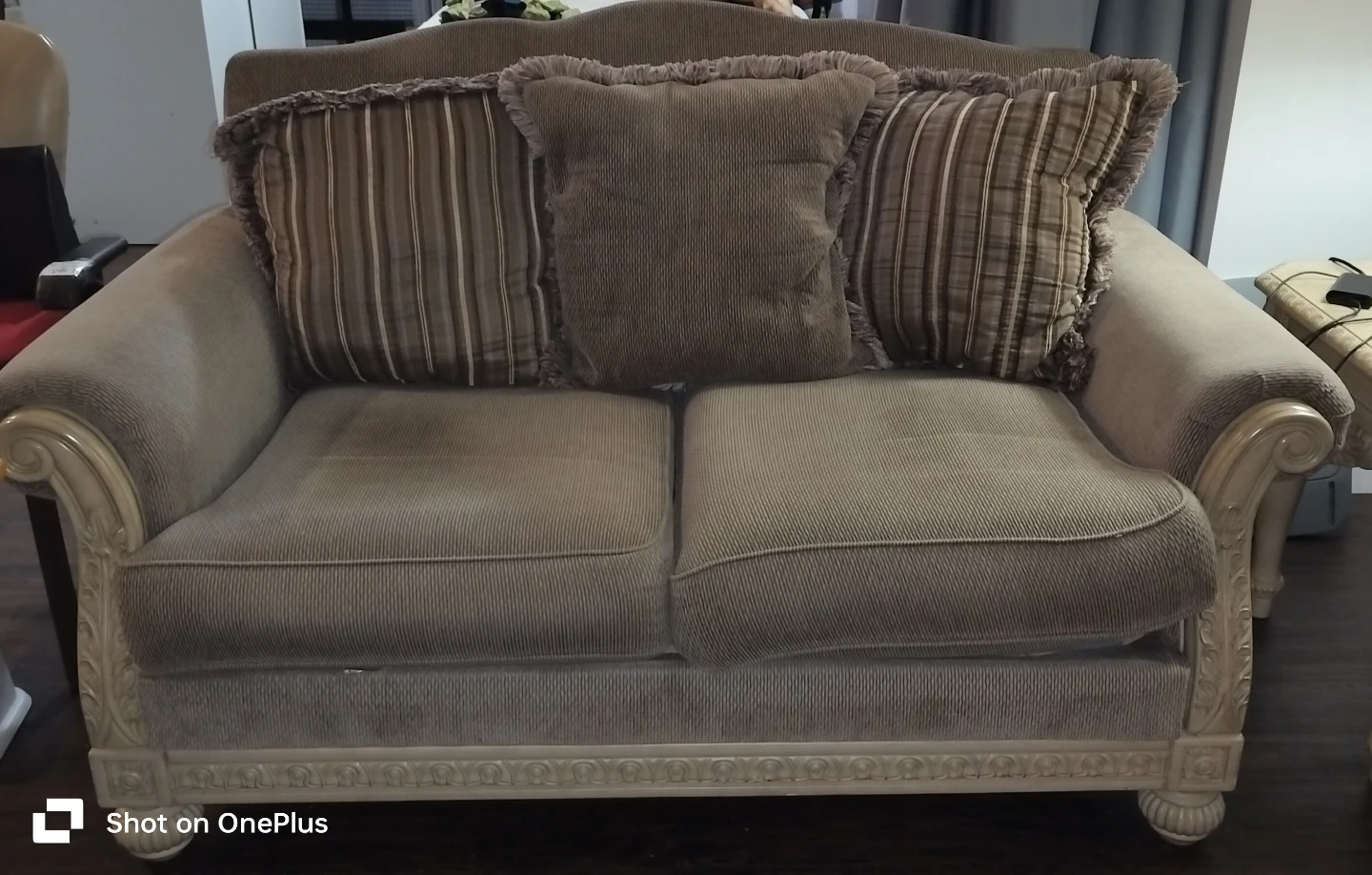 Ashley Loveseat Couch with Decorative Pillows