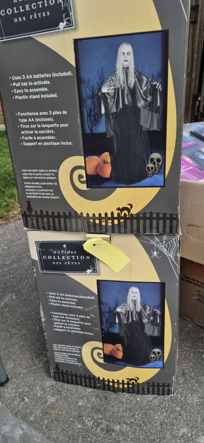 Holiday Collection Witch Halloween Decoration