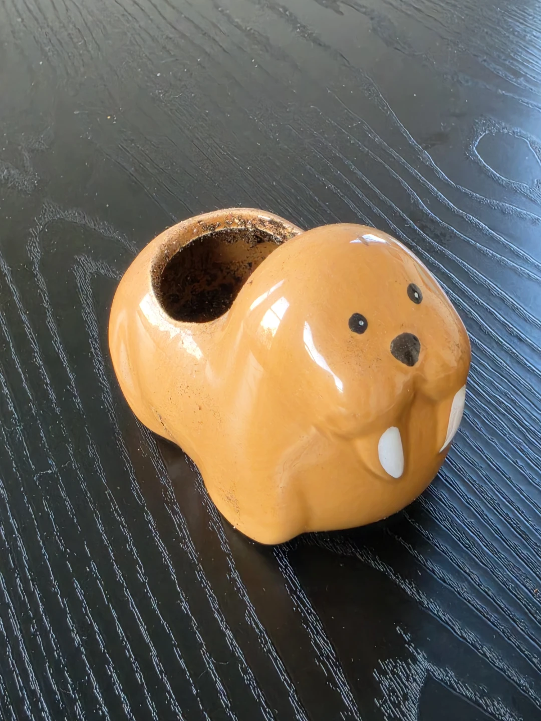 Walrus flower pot