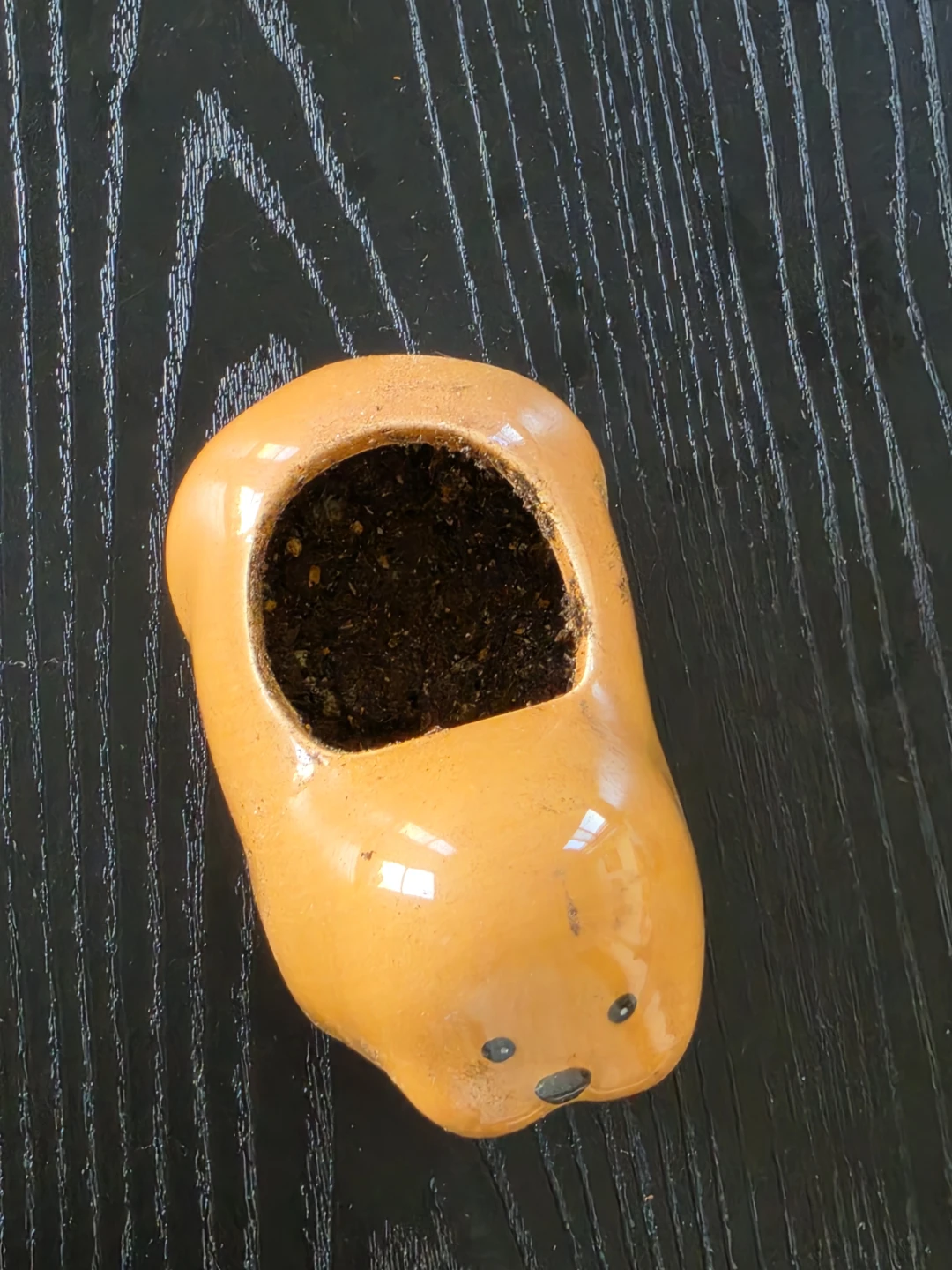 Walrus flower pot - photo 3