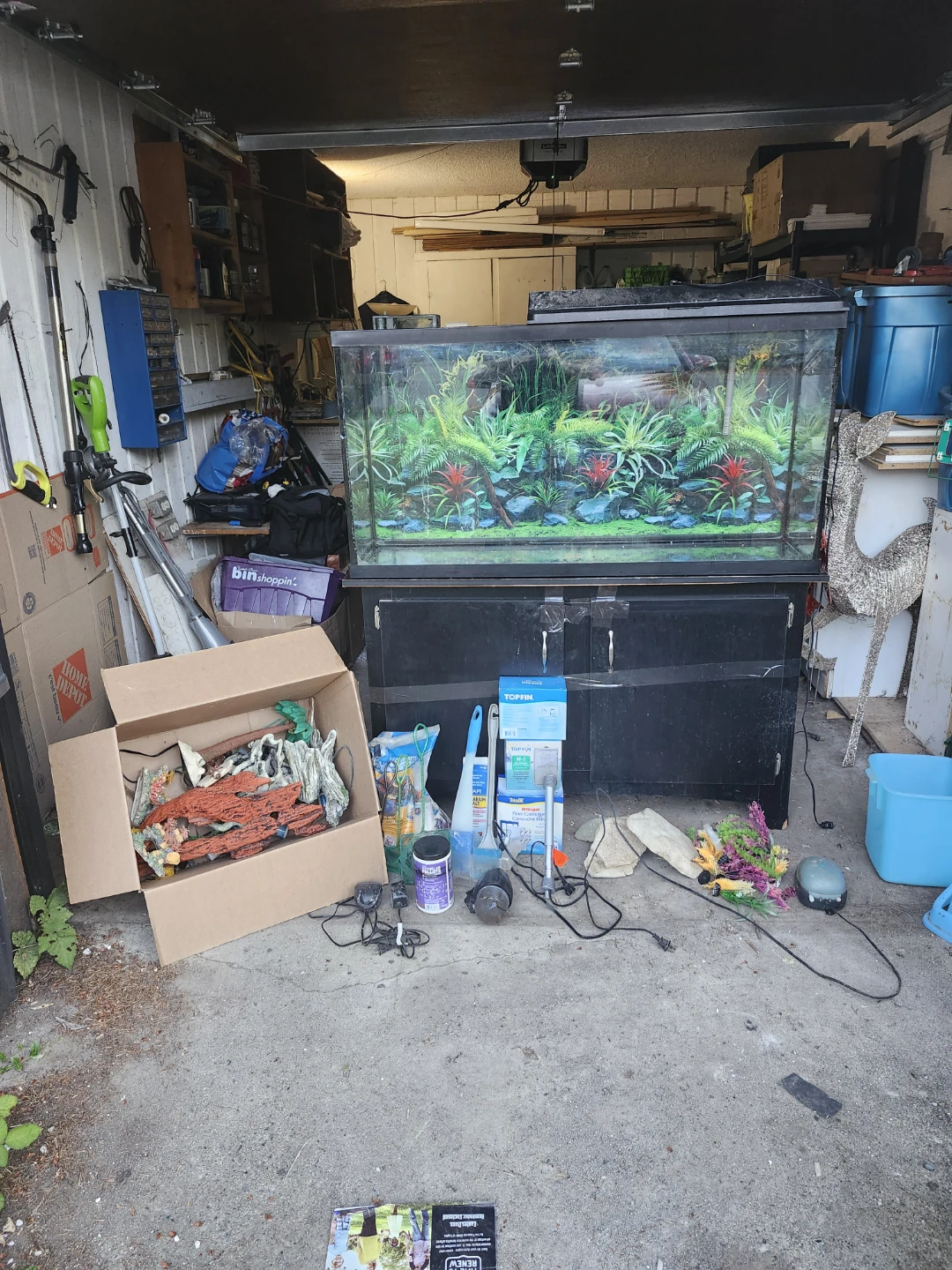 Aquarium Tank and Supplies