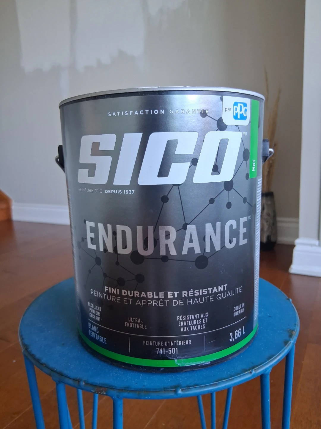 SICO Endurance Paint - Mushroom Mousse