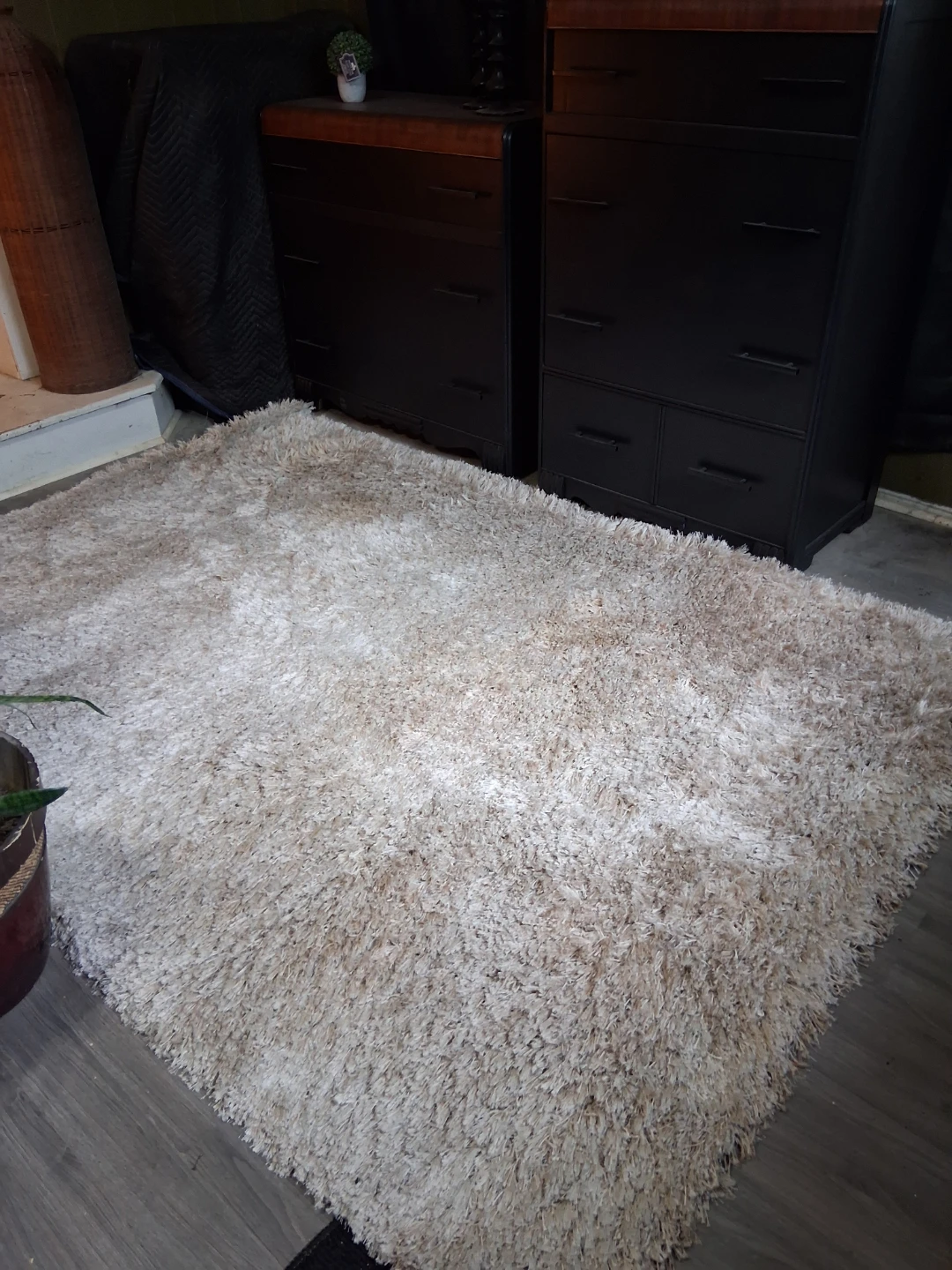 Area Rug