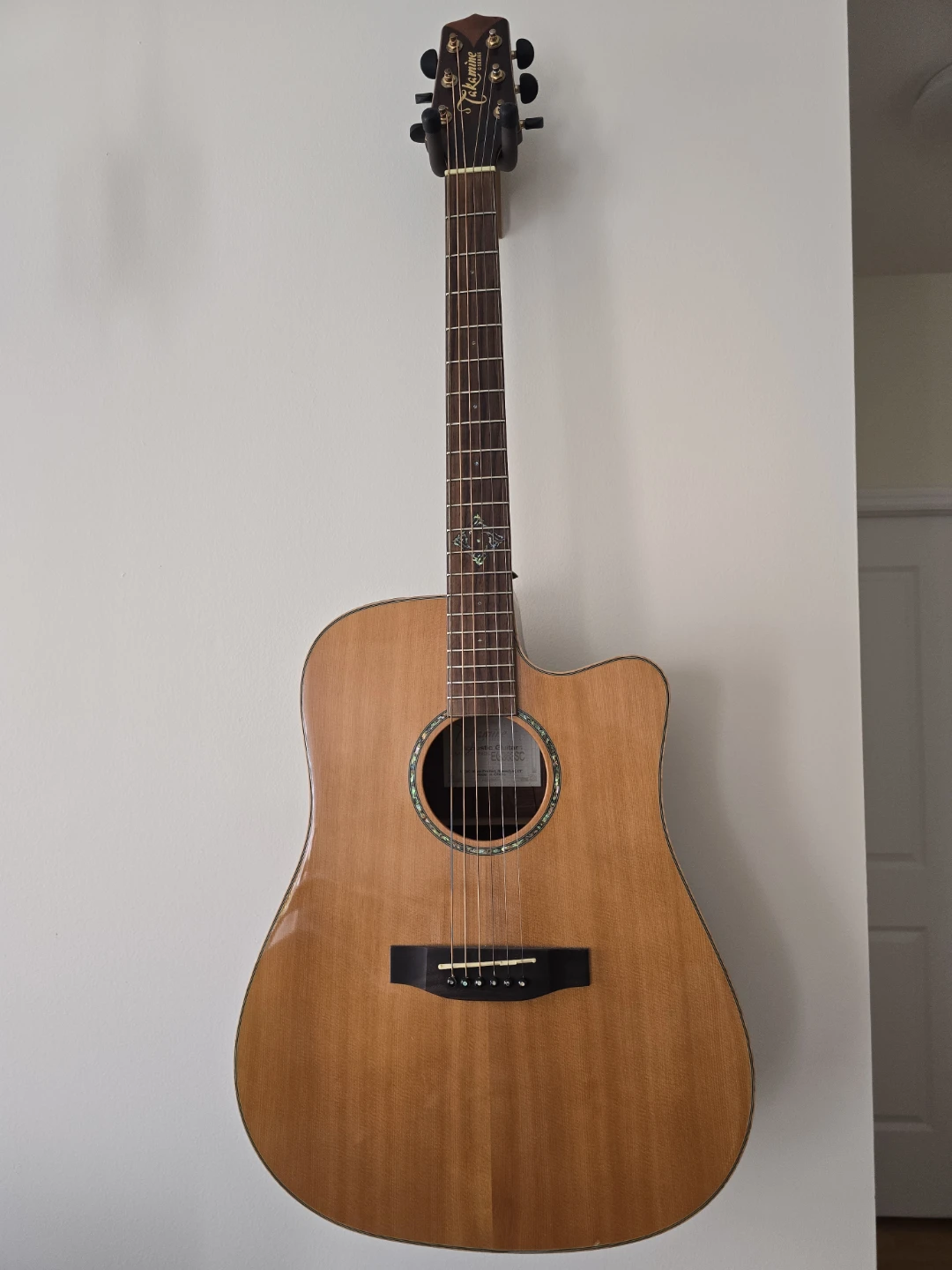 Takamine G Series Acoustic Guitar EG363SC - photo 3