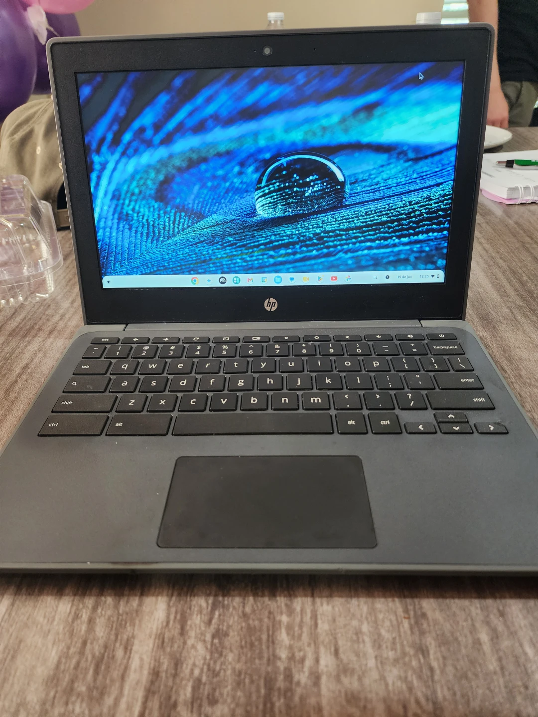 HP Chromebook Laptop