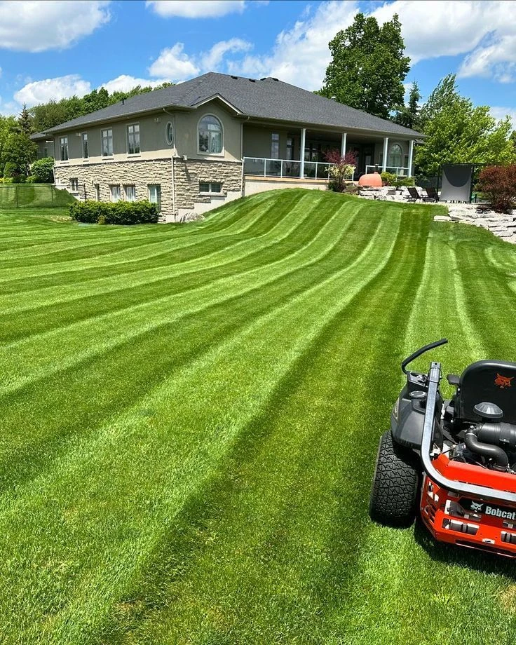 Lawn mowing. I am a student trying to make some mony