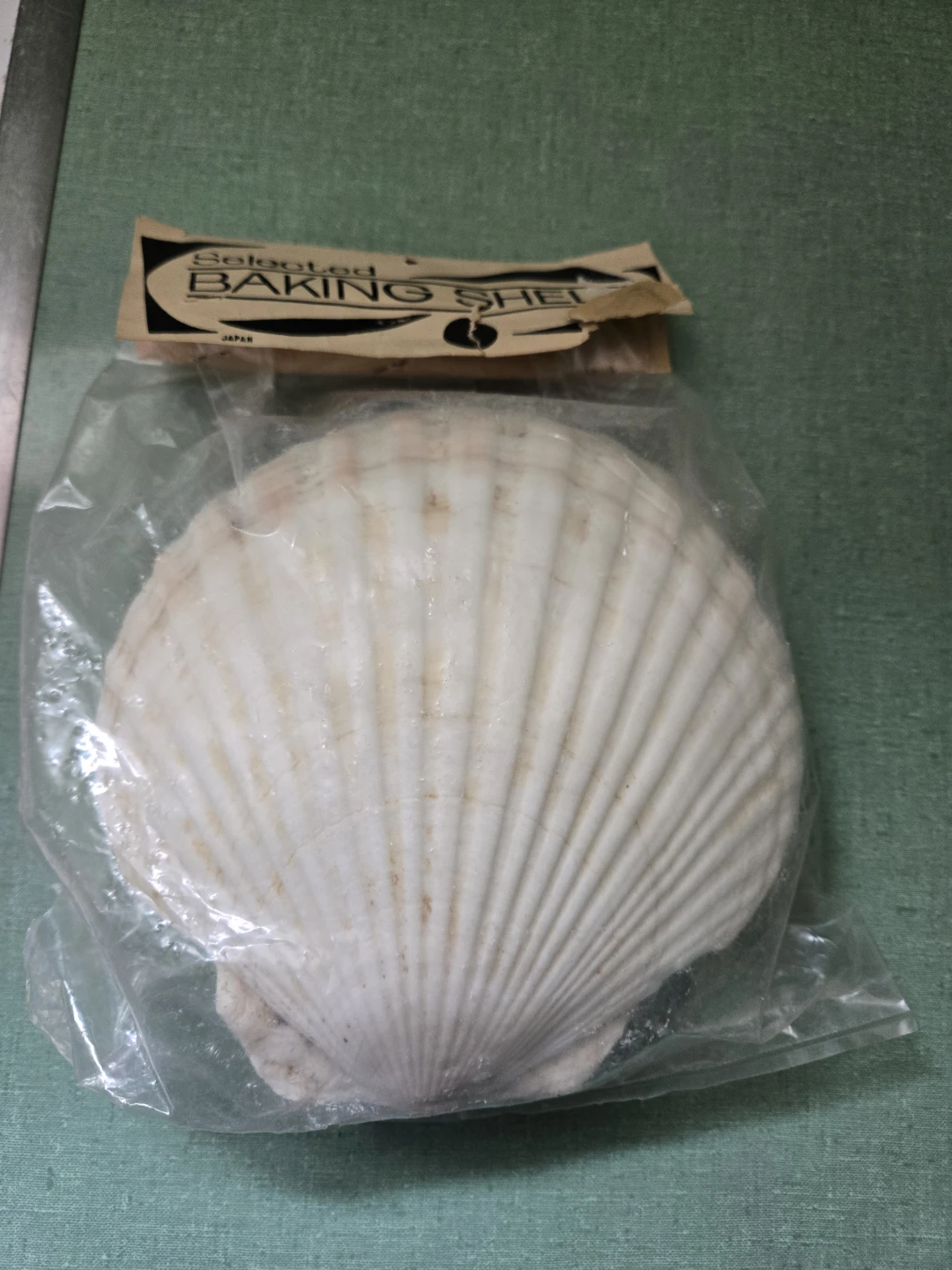 Set of Six (6) Selected Baking Shells - photo 3