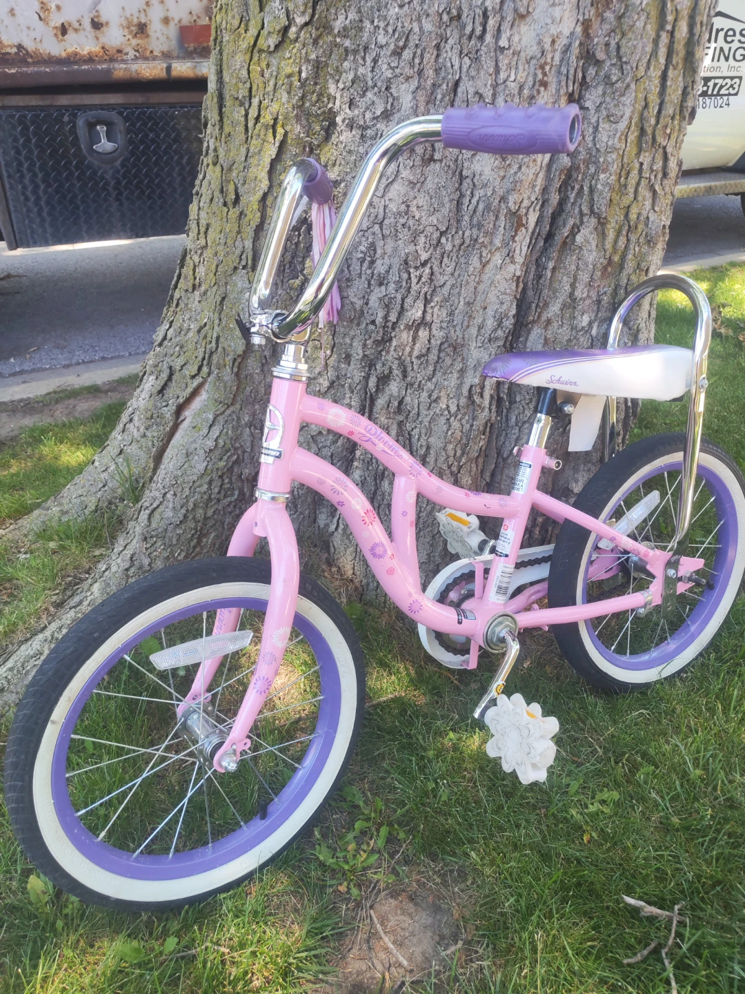 Girls Bicycle
