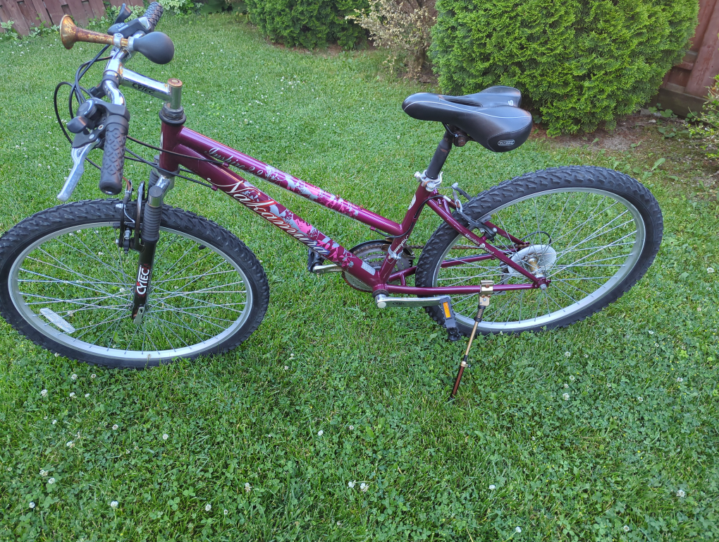 Nakamura "Inshire 2.9" Mountain Bike - photo 4