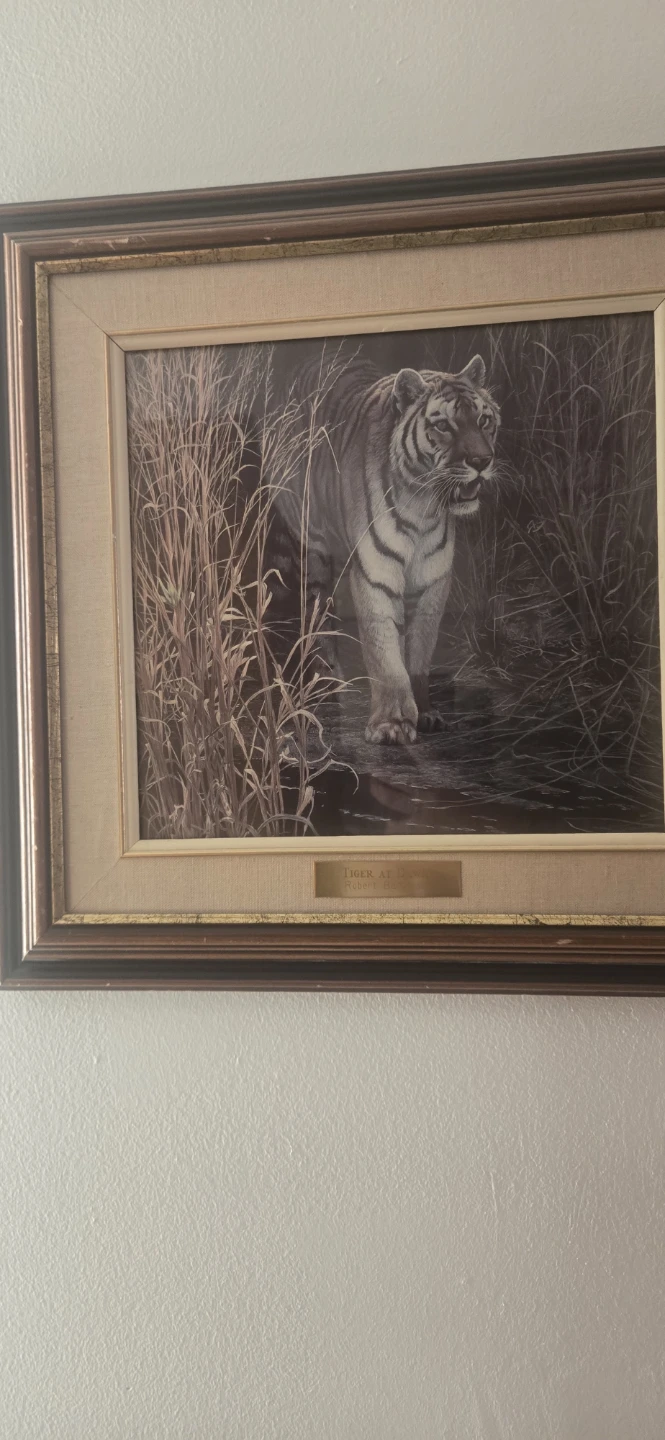 Framed Tiger at dawn by Robert Bateman