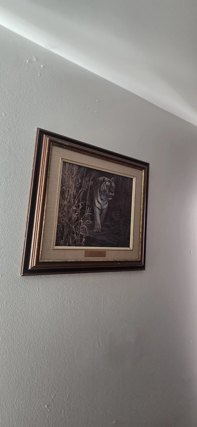 Framed Tiger at dawn by Robert Bateman - photo 2