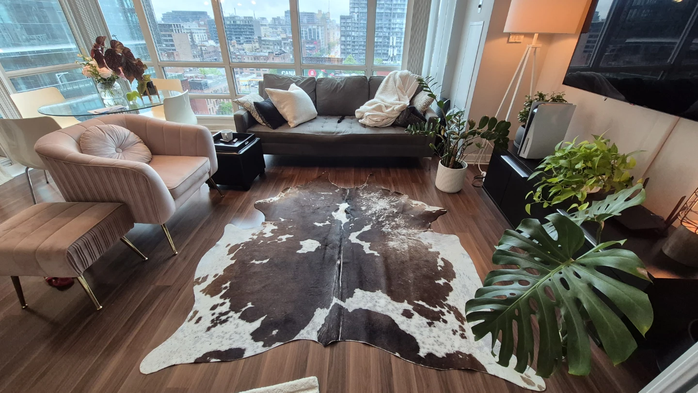 IKEA - Cowhide Area Rug