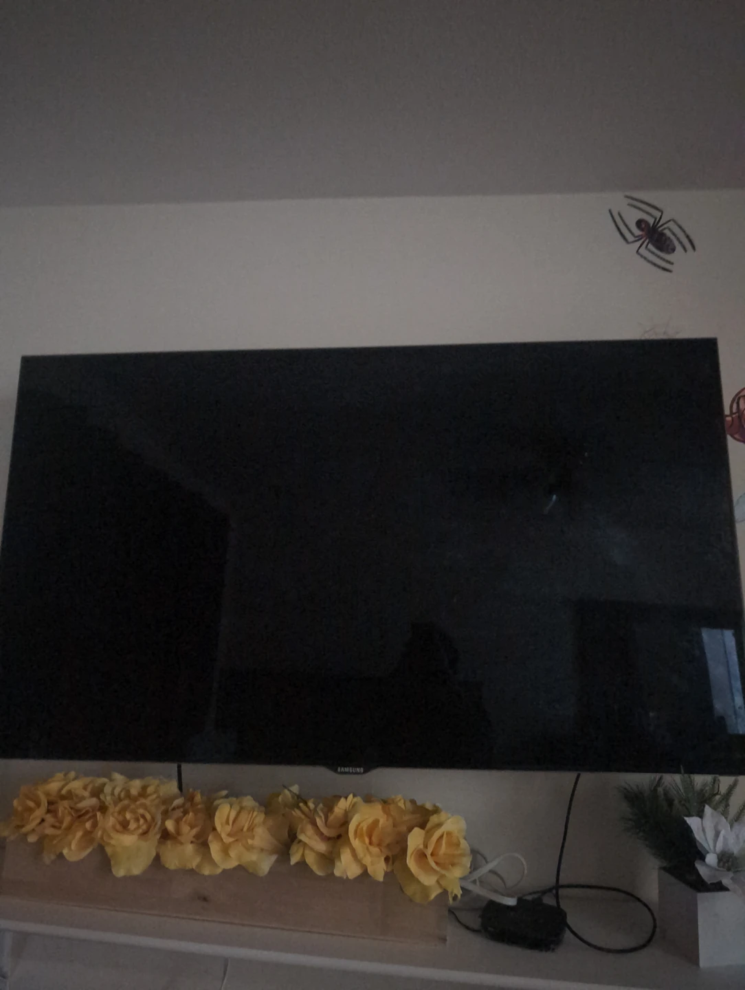 Samsung TV with Roku Streaming Stick