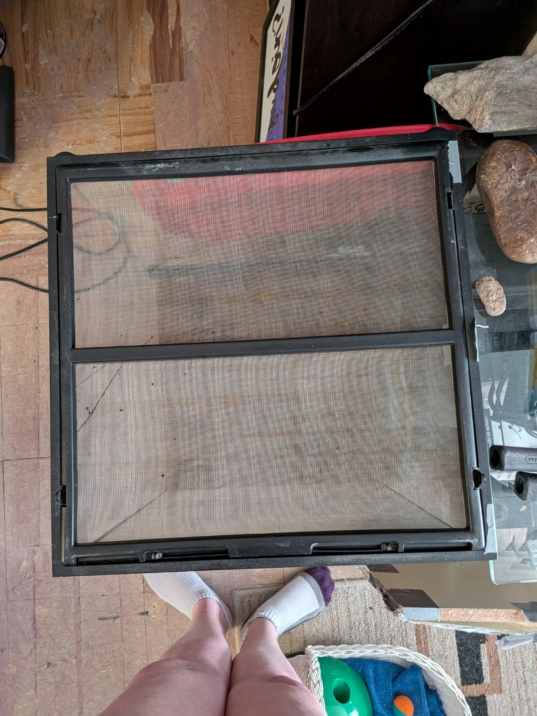 Terrarium with Screen Lid