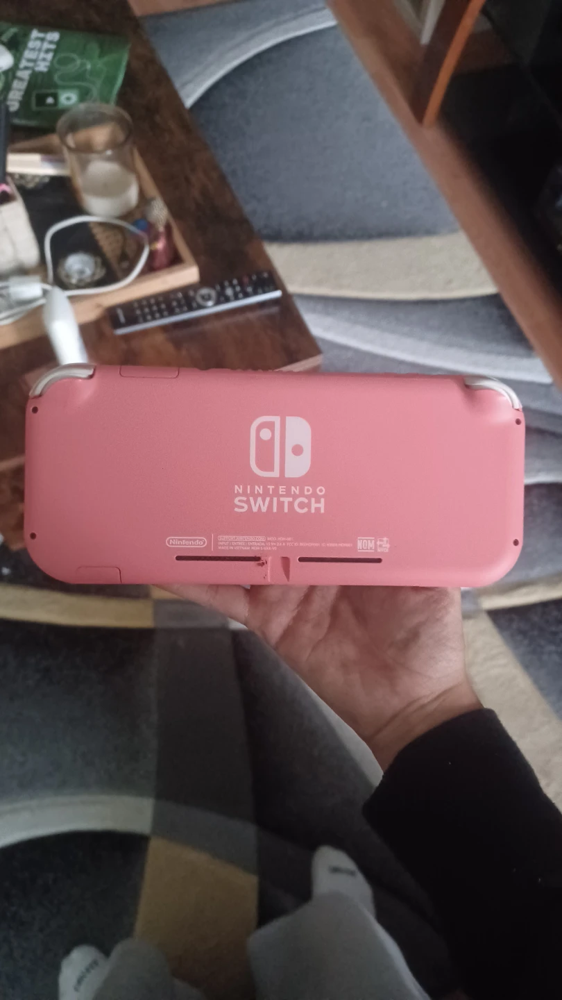 Nintendo lite - photo 2