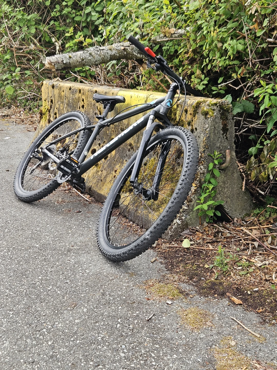 Nakamura Antidote 2020 hardtail mtb - photo 2