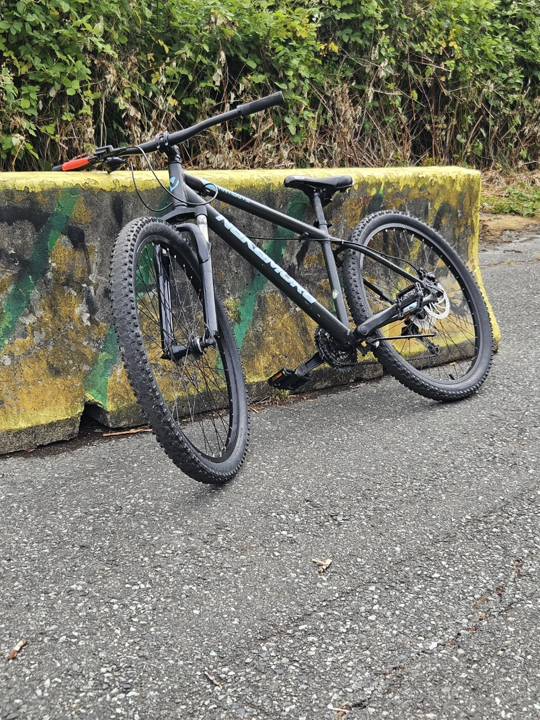 Nakamura Antidote 2020 hardtail mtb - photo 3