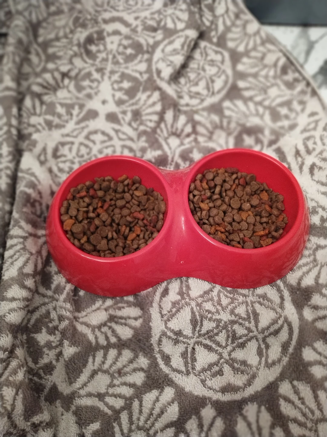 Two kittens - photo 4