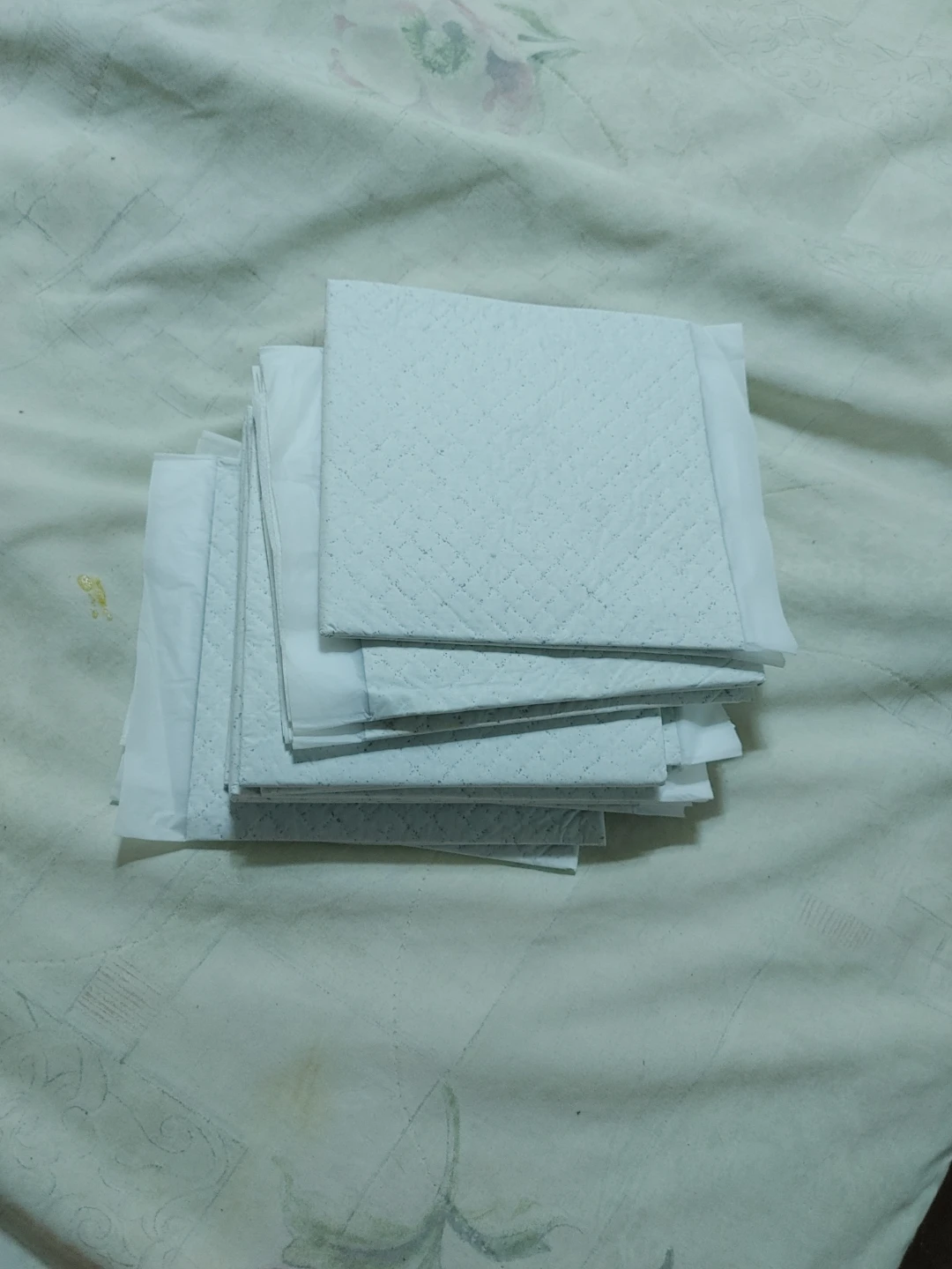 Pet Training Pads - 11 count