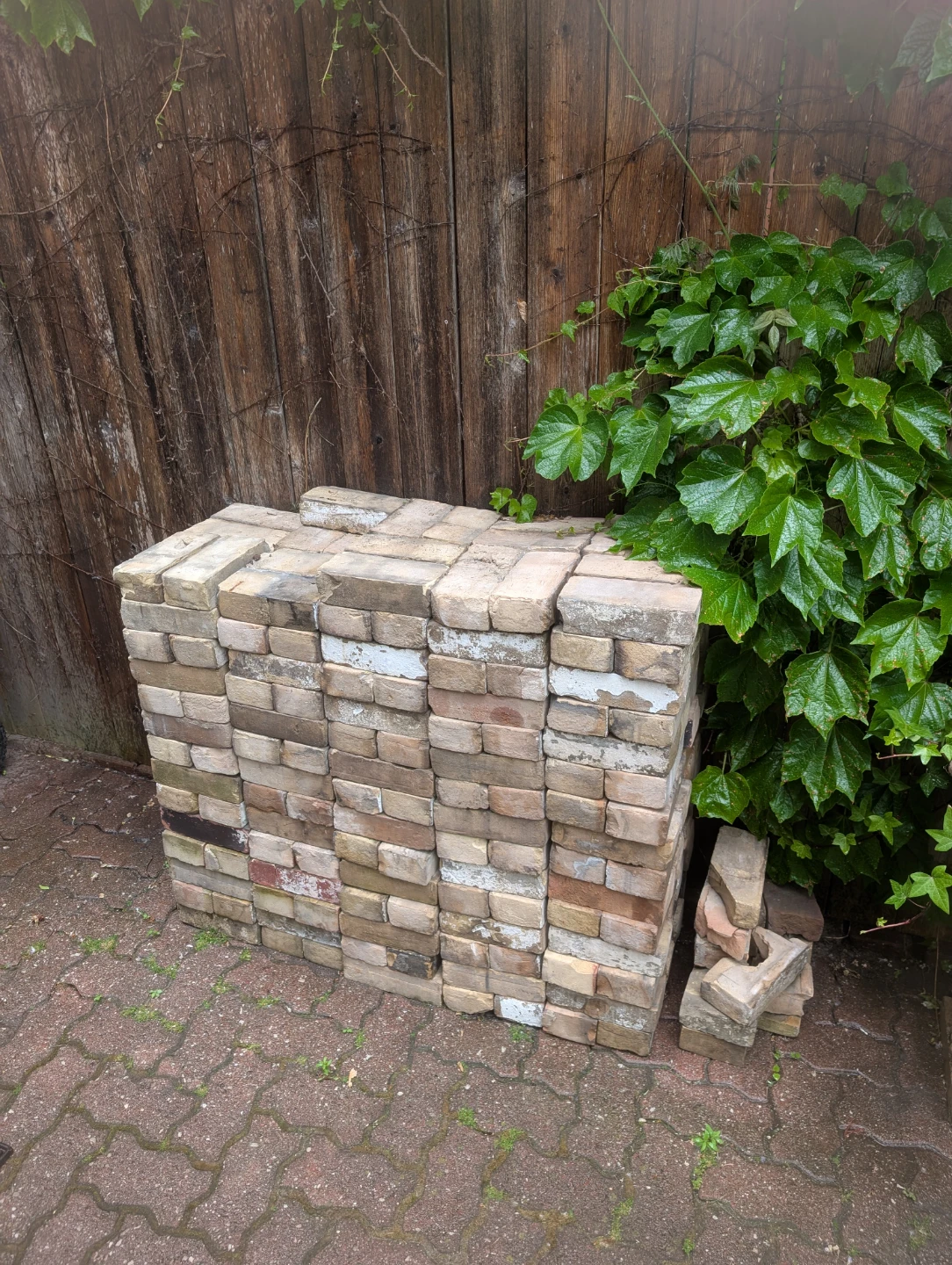 Reclaimed Old Yellow Bricks (300 or so) for Sale