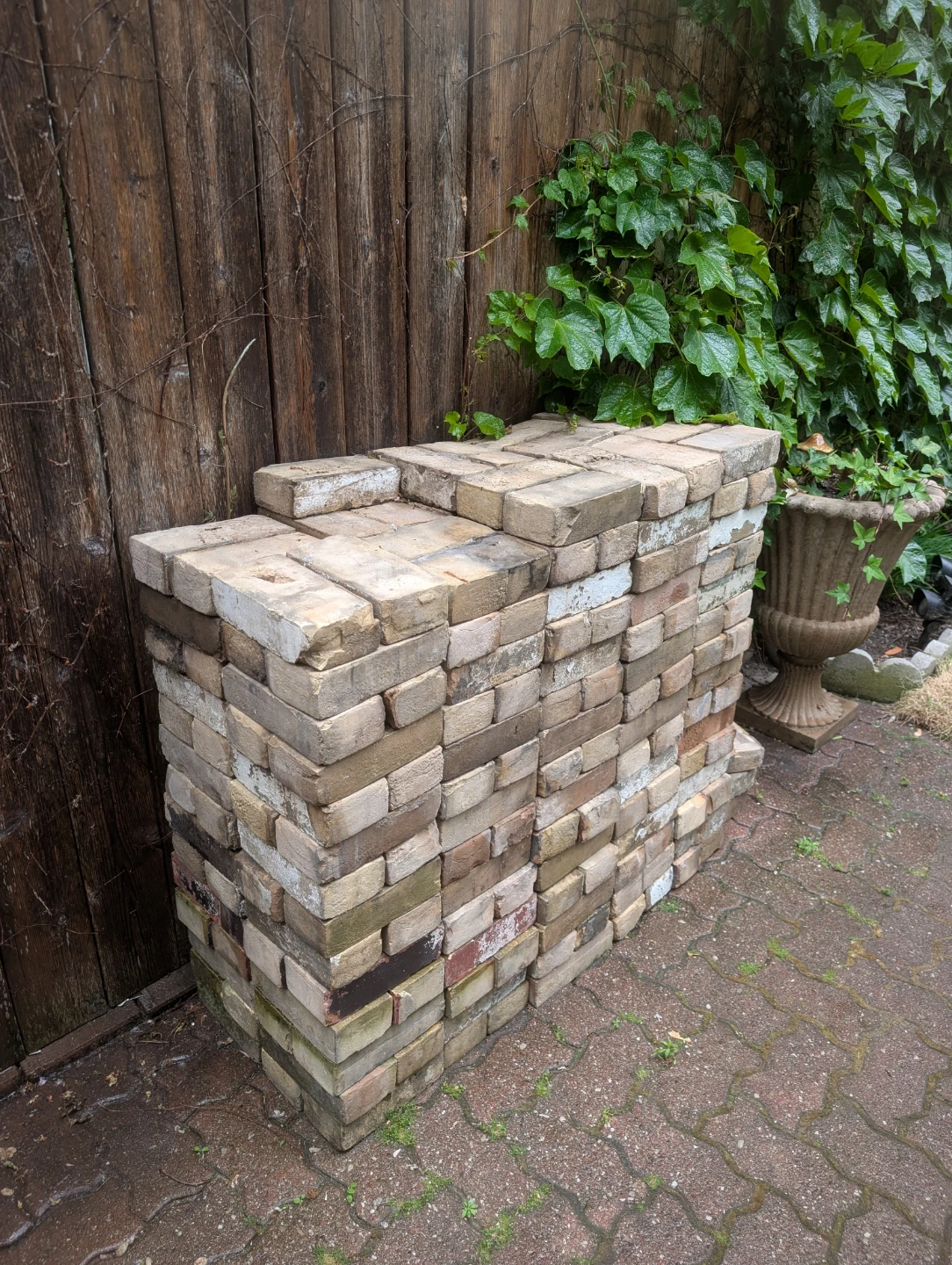 Reclaimed Old Yellow Bricks (300 or so) for Sale - photo 2
