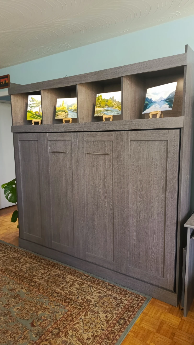 Murphy Bed with Shelving Unit and mattress.