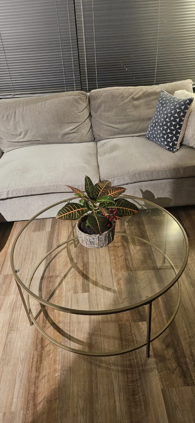 Round Glass Coffee Table with Metal Frame - photo 5