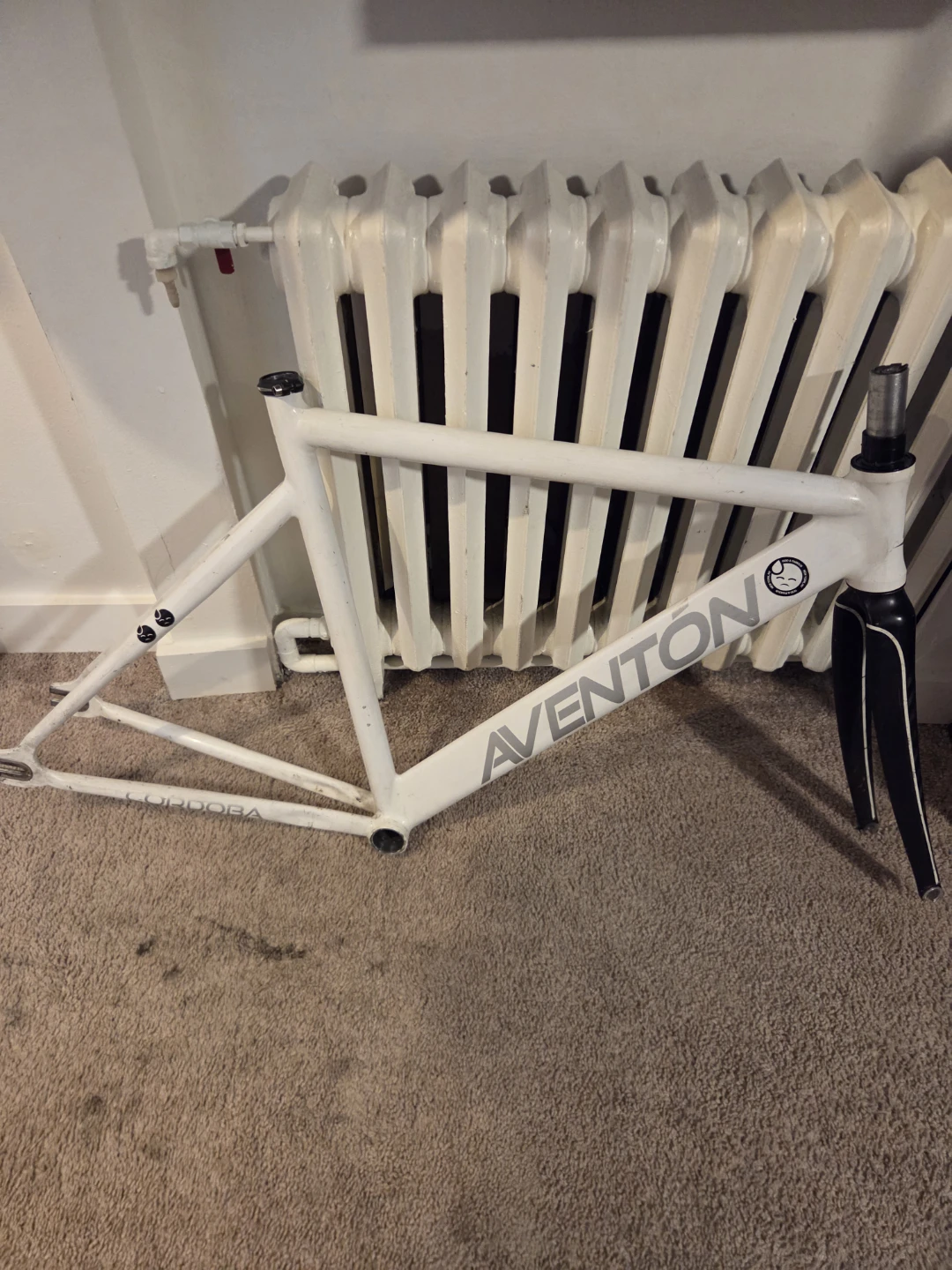 White Aventon Cordoba Bike Frame