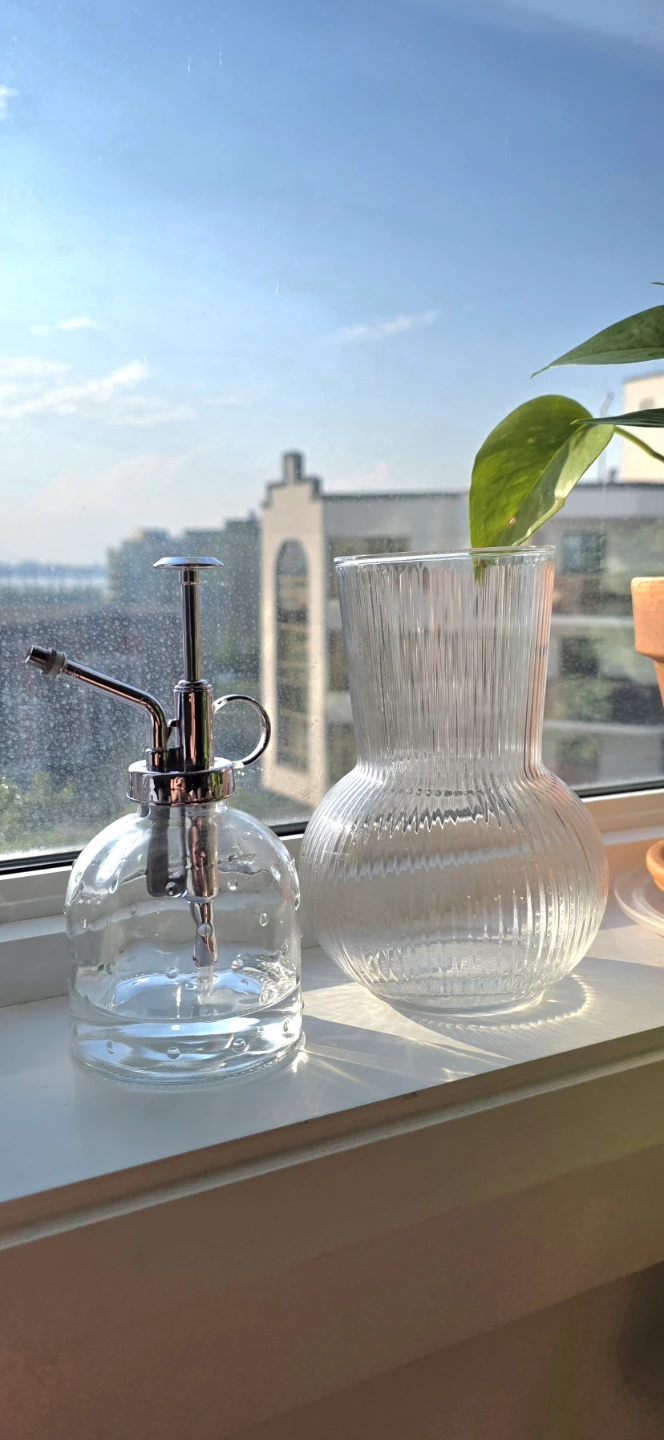 ​[Moving Sale] Houseplants & Indoor Plant Care Set - photo 2