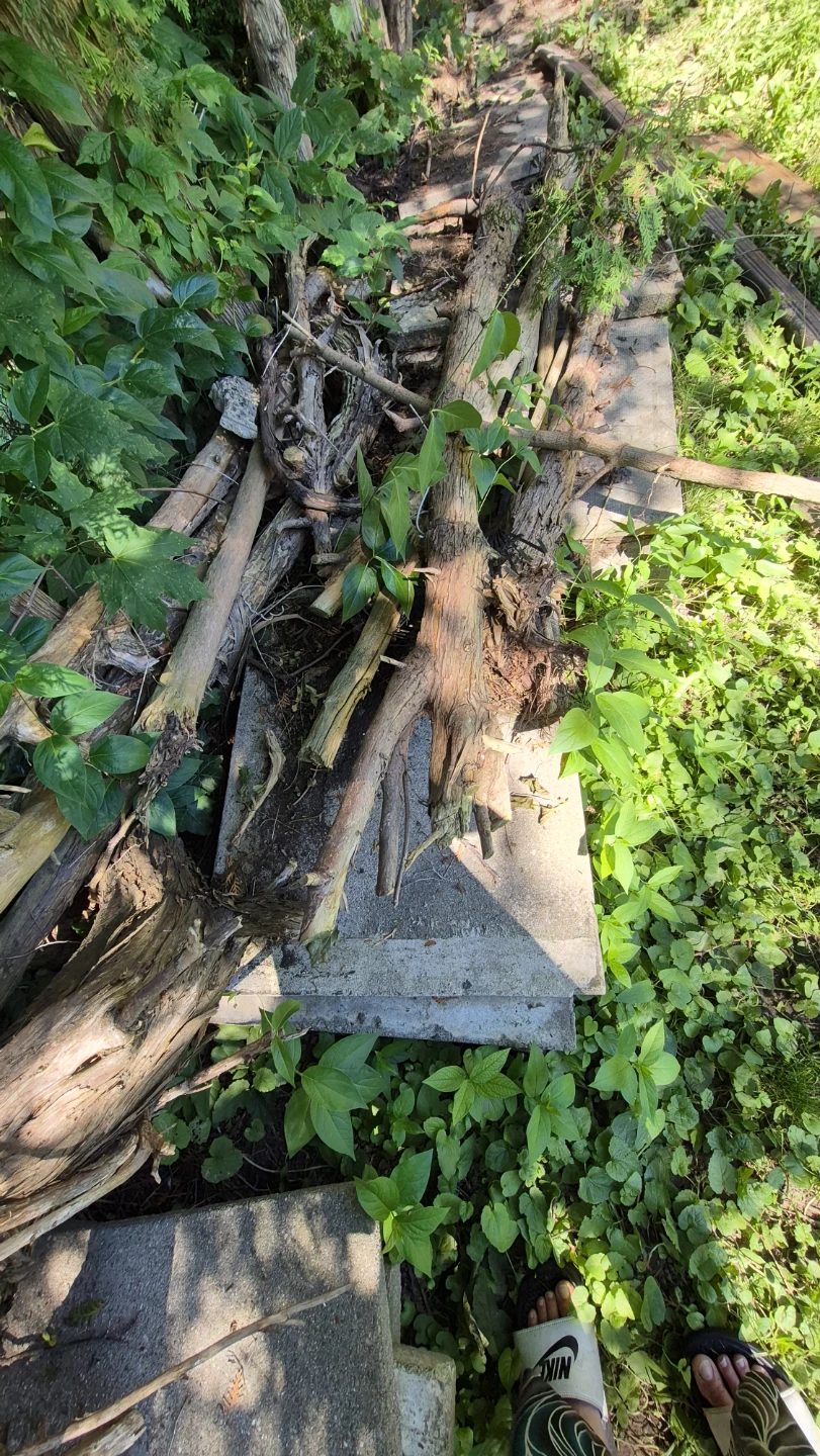 Decorative Rustic wooden tree stump - photo 3