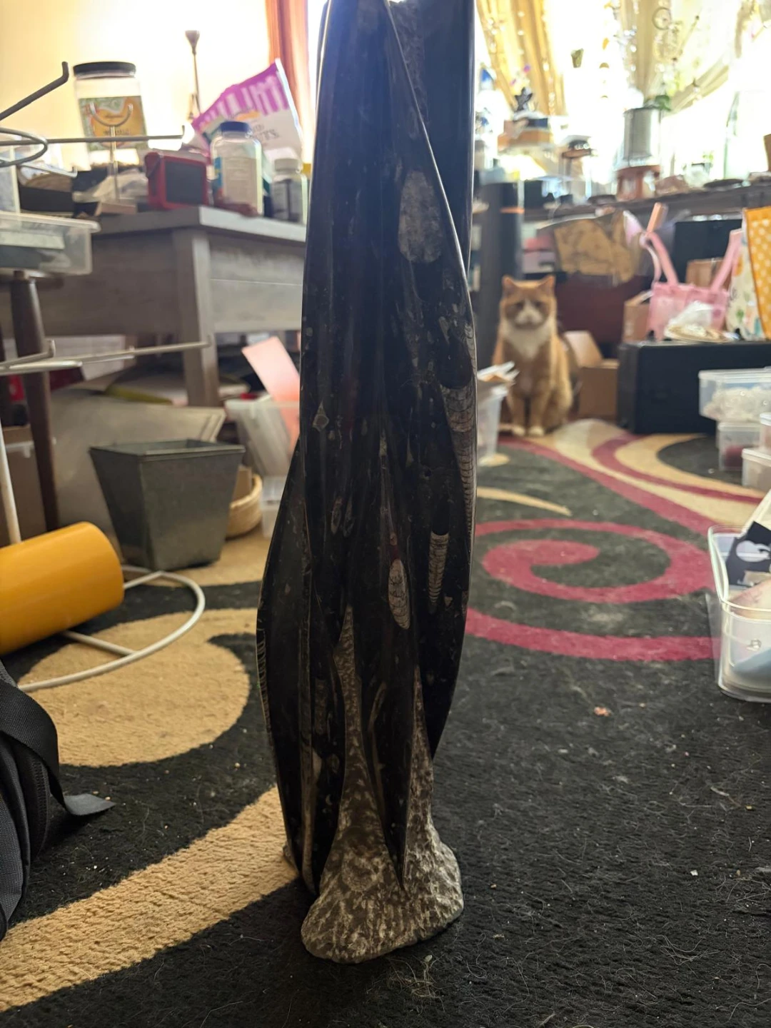 Twisted Ammonite Fossil Sculpture - photo 3