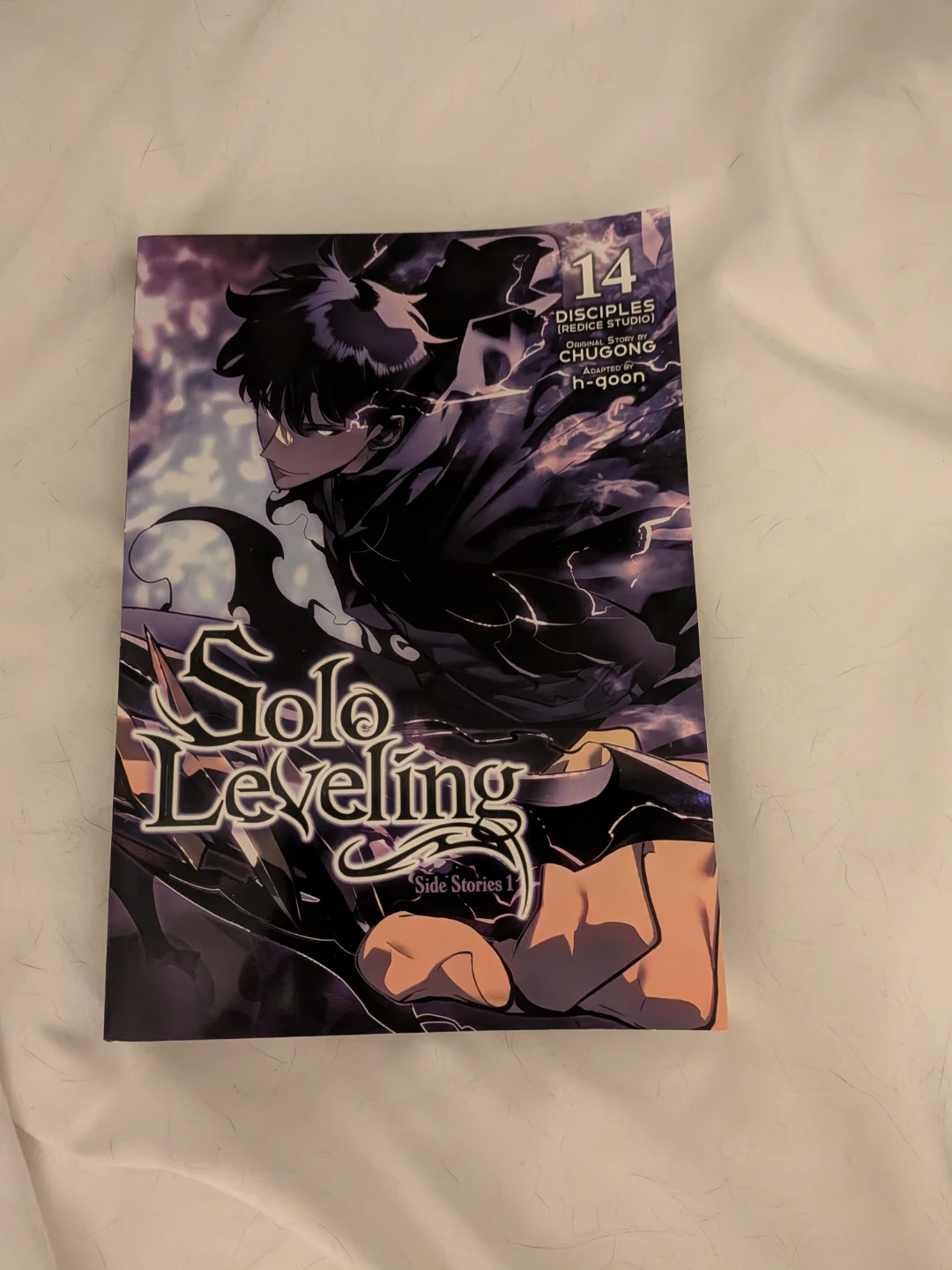 Solo Leveling Side Stories Vol. 14 Manga