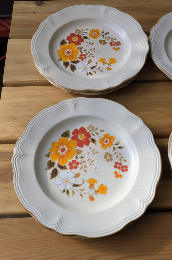 Vintage Wildflower Ironstone Dinner Plates, 7 Total - photo 3