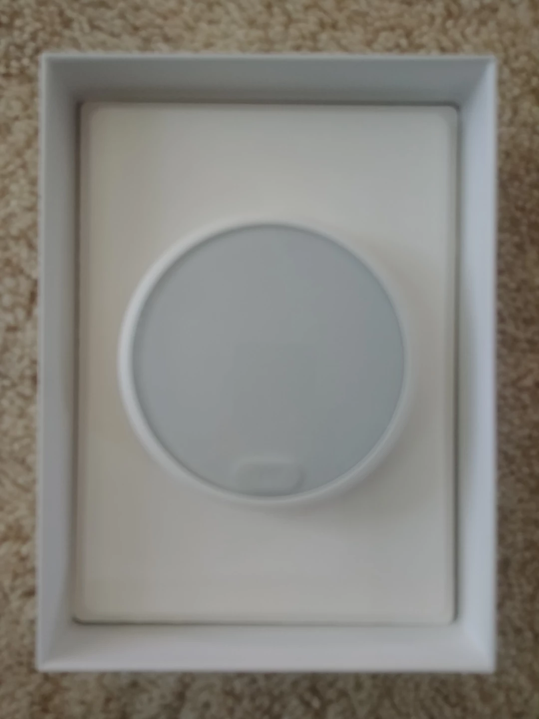 Nest Thermostat E