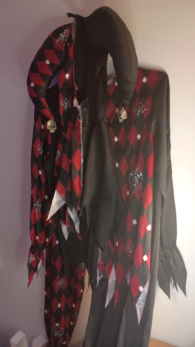 Jester Costume with Skull Details - photo 4