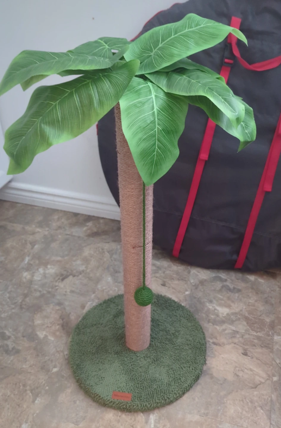 Cat Scratching Post