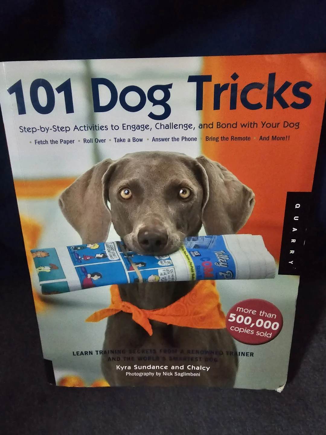 101 Dog Tricks Book