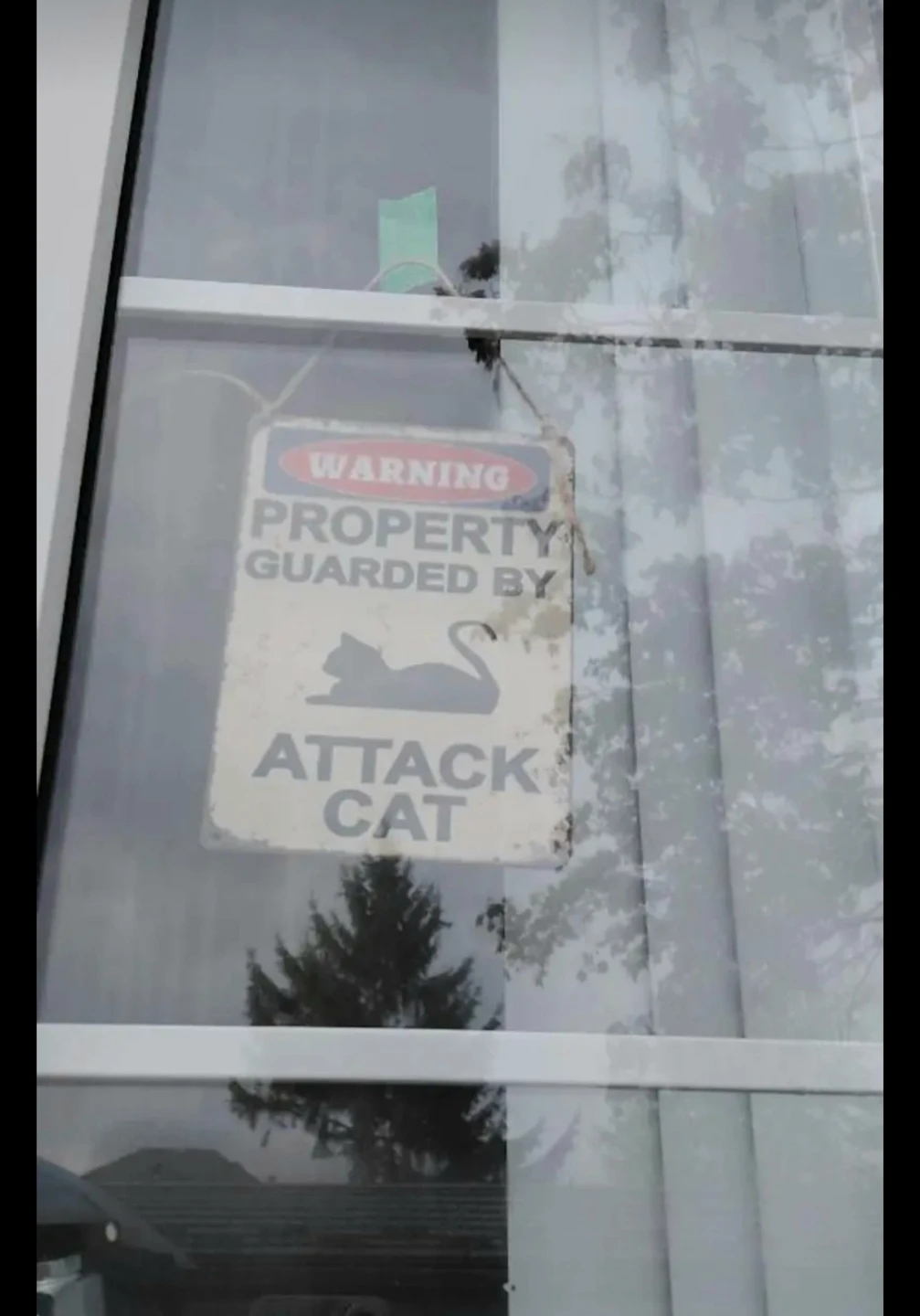 Warning Cat Sign - photo 2