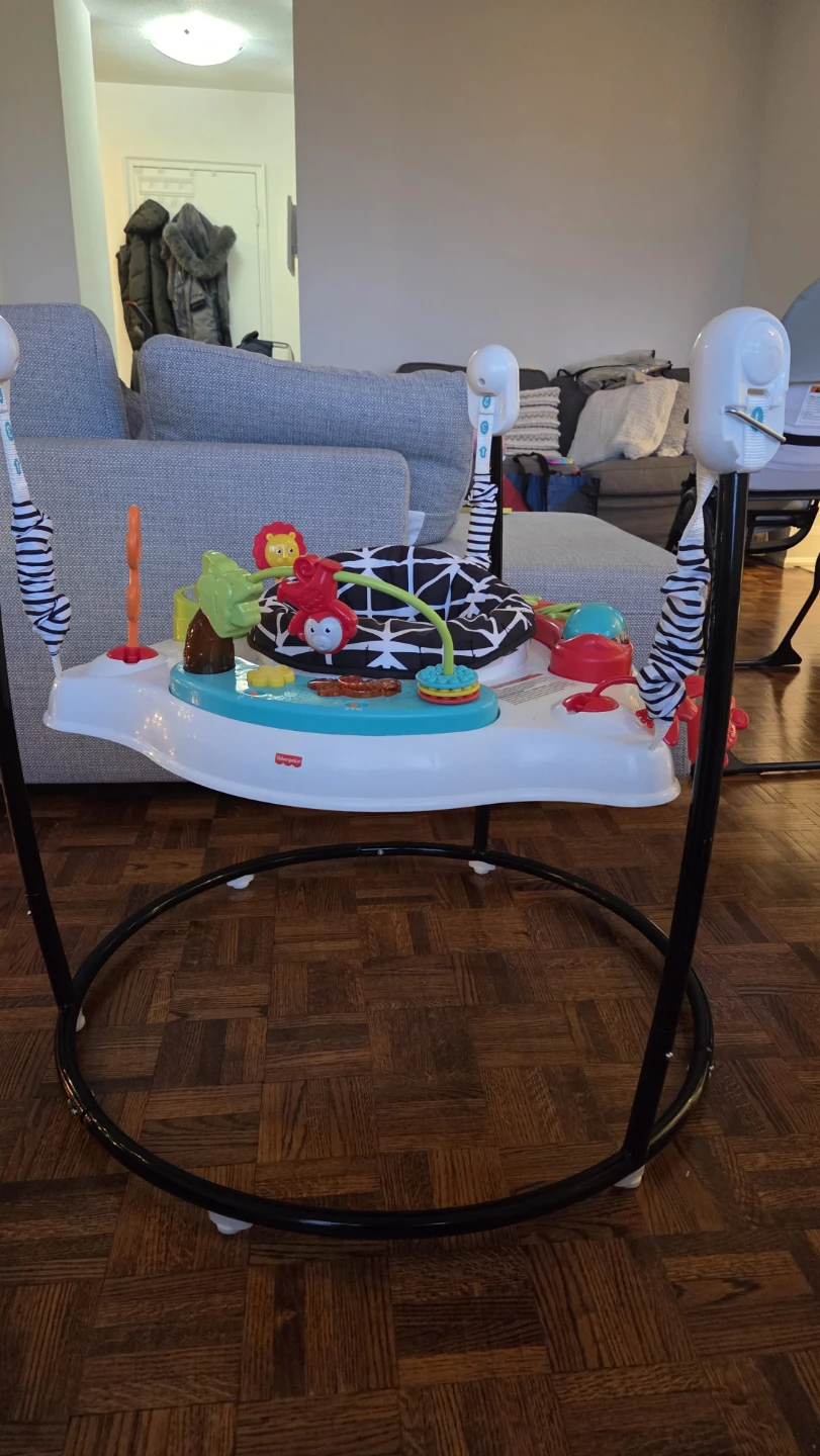 Fisher-Price Jumperoo - photo 3