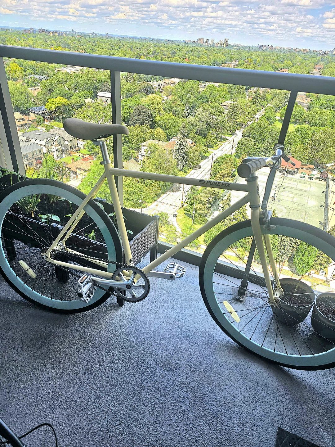 Purefix single gear road bike